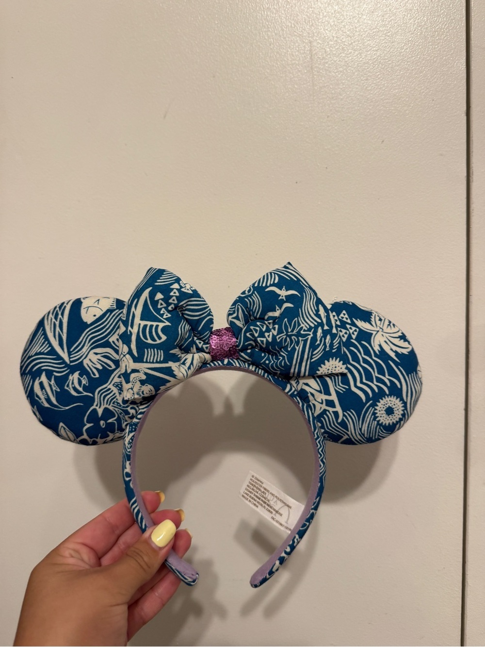 Disney Aulani Ears